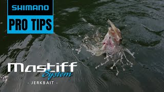 Jerkbait Fishing Tackle System  Shimano Pro Tips [upl. by Ayital]