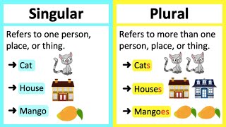 SINGULAR VS PLURAL NOUNS 🤔  Whats the difference Learn with examples [upl. by Terrene]