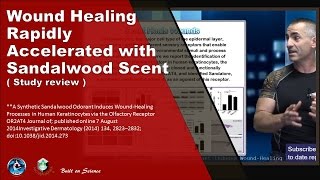 Wound Healing Rapidly Accelerated with Sandalwood Scent [upl. by Liartnod]