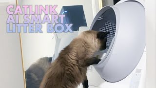 CATLINK Automatic SelfCleaning Smart AI Cat Litter Box Luxury Pro [upl. by Maite]