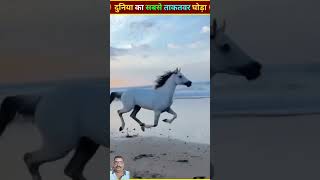 Maharana Pratap history Chetak Ghoda नमन महाराणा प्रताप और उनका चेतक घोडा [upl. by Ynnub35]