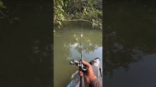 Luck or skillFollow for morefish fishing bass pike carp casting lure spinners viral [upl. by Akeenahs]