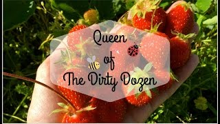 Queen of The Dirty Dozen [upl. by Hussey]