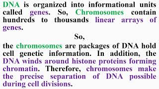 Chromosomes and DNA [upl. by Nnyrb]