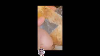 Walk On Water 316 is live cutting pilling slicing kalabasaandpatatas squash patato asmr [upl. by Ekusoyr739]