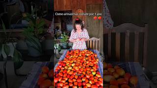 Como eu armazeno tomate por até um ano no congelador 🍅🍅🍅 [upl. by Lejeune]