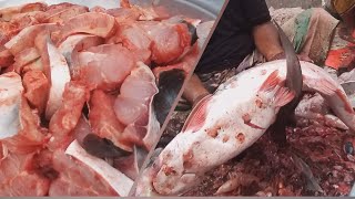 13 KG Giant Pangas Fish Cutting Skills LiveIn Fish Market  Pangasius Catfish Cutting [upl. by Isabelle313]