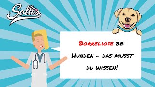 Borreliose beim Hund  Symptome amp Behandlung [upl. by Volin553]