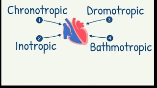 ChronotropicDromotropicInotropicBathmotropic Effects on HeartCardiac Tropism [upl. by Berner]