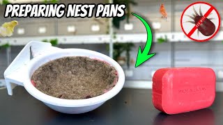 How To Prepare NEST PANS  Canaries amp Finches [upl. by Ahsyekat]