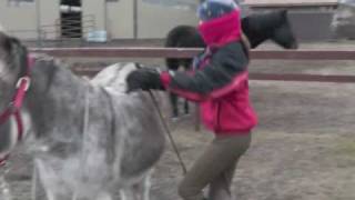 Riding Donkey Bareback Mounting [upl. by Schroder]