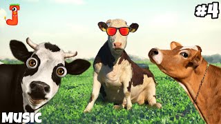 FUNNY COW DANCING VIDEO 4│Cow Song amp Cow Videos 2023  Cow dance mix  funny dancing gay [upl. by Haroppiz680]