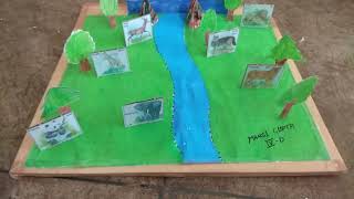 Terrestrial Habitat Model made by Mansi Gupta [upl. by Marleen]