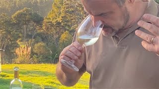 Wine Review Santa Margherita Valdadige Pinot Grigio 2019 [upl. by Ellersick]