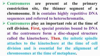 Functions of Centromere in Chromosome [upl. by Boiney]