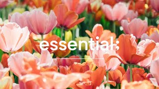 Playlist 봄이 왔나 봄 🌷  봄에 듣기 좋은 산뜻한 팝송  4 hours spring mood pop [upl. by Abeh456]