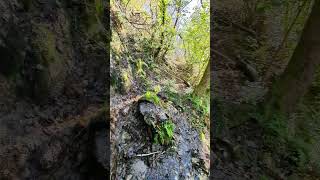 Nature ardéchoise au petit matin ardeche nature water waterfall paysage france savage [upl. by Anitrak]