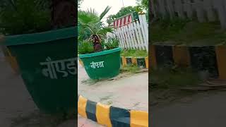 Jaadu tere batoh meh noida travel birds viral [upl. by Melone]