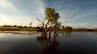 Yellow Water Cruise  Kakadu Nationalpark NT Australia [upl. by Yecaj78]