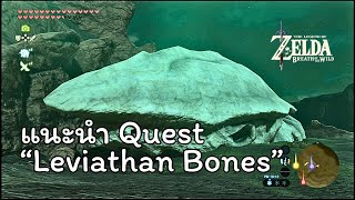 แนะนำ Quest  Leviathan Bones「巨大クジラの化石」 The Legend of ZELDA  Breath of the Wild [upl. by Kennedy]