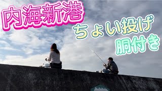 【知多半島】内海新港でのんびり釣行🎣20241117 [upl. by Attesor]