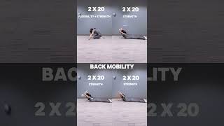 lower back mobility [upl. by Kwan]