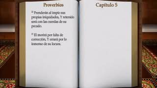 Audio libro de Proverbios [upl. by Adall]