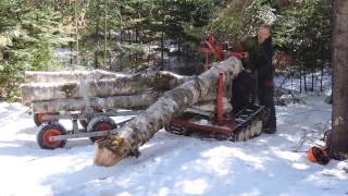 Sustainable forestry using an Ironhorse wwwwindsorchairca [upl. by Boyse289]