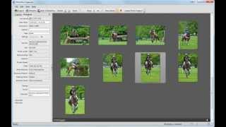 Serif PhotoPlus X6 Tutorial  Introducing PhotoPlus Organizer [upl. by Valeta]