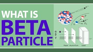 What is Beta Particle  Beta Decay Electron amp Positron Emission  Uses of Beta particles  Physics [upl. by Ostap]