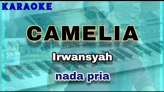 Karaoke CAMELIA nada pria  Irwansyah [upl. by Meridith]