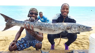 Spearfishing Ocean Predator  Massive Barracuda [upl. by Eddra]