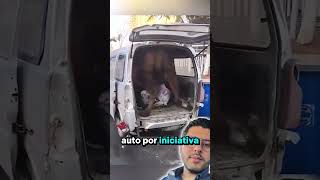 Metió un camello a su coche shorts animales auto [upl. by Weinberg]