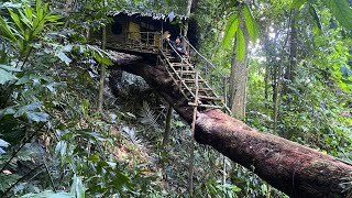 Full Video 1 Month Solo Bushcraft Build a boxshaped house on a tree Survive in the Wild [upl. by Hiller]