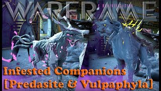 Warframe  Infested Companions Predasite amp Vulpaphyla Companions [upl. by Dnalloh]