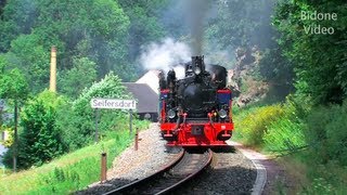 Eisenbahn 2012 45 Dampfloks  Steam Trains  Züge [upl. by Noletta]