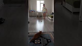 Kedimiz Çakılla futbol oynuyorum🩷 cat catlover kitten cute animals [upl. by Hathaway]