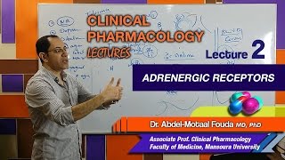 Autonomic Pharmacology Ar  Lec 02  Adrenergic Receptors [upl. by Sacram]