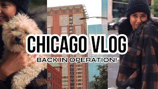 Getting back to work  Chicago Vlog [upl. by Shute]