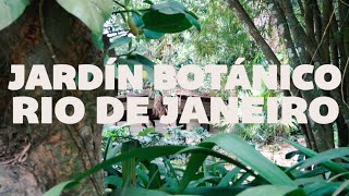 ¿Cómo es el Jardín Botánico de Río de Janeiro Brasil  GoCarlos [upl. by Ena]