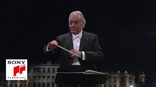 Vienna Philharmonic amp Zubin Mehta  Grieg Morning Mood Summer Night Concert 2015 [upl. by Hooper769]