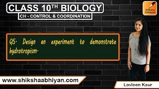Q5 Design an experiment to demonstrate hydrotropism [upl. by Nohsreg]