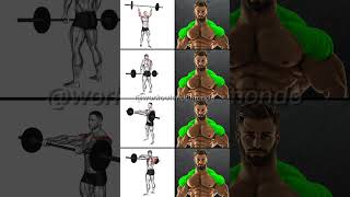 BARBELL SHOULDER WORKOUTS Build MASSIVE Shoulders [upl. by Walczak645]