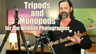 Monopods and Tripods for Wildlife What I Look for [upl. by Yaras174]