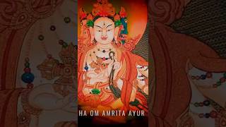 5 Activities of Namgyalma Ushnisha Vijaya Five Powers Mantra Pacifying Enriching Wrathful [upl. by Bik6]