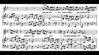 Können Tränen meiner Wangen MatthäusPassion  JS Bach Score Animation [upl. by Coplin923]