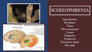 Schizophrenia types cause symptoms  diagnosis prevalence and treatment 🏥 [upl. by Meredeth902]