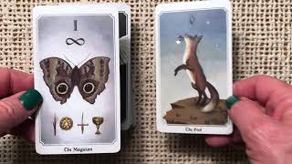 Anima Mundi Tarot [upl. by Aniroz]