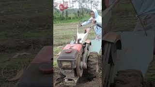 Rotary Tiller Tractor Tilling Peanut Field shorts tractor traktor трактор [upl. by Aicinad737]