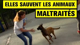 Elles sauvent les ANIMAUX MALTRAITÉS [upl. by Eelinej]